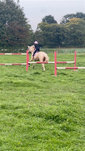 36K views · 1K reactions | Having fun no handed down a grid #horse #stallion #equestrian #showjumping #showjumper | Jumping with Ivy | Facebook