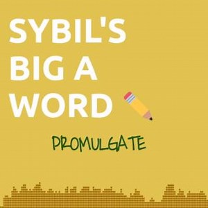 PROMULGATE: (verb) To promote, or to make an idea or cause widely known. Comment how you would use PROMULGATE in a sentence! #SybilsBigAWord #SybilWilkes #Vocabulary #WhatYouNeedToKnow | Sybil Wilkes