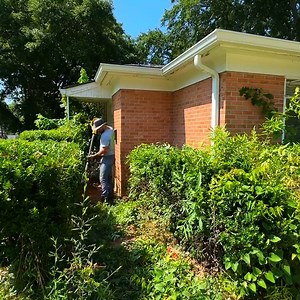 22K views · 852 reactions | Helping get the yard BACK IN SHAPE after THIS DIAGNOSIS | Lawn Care Free | Facebook