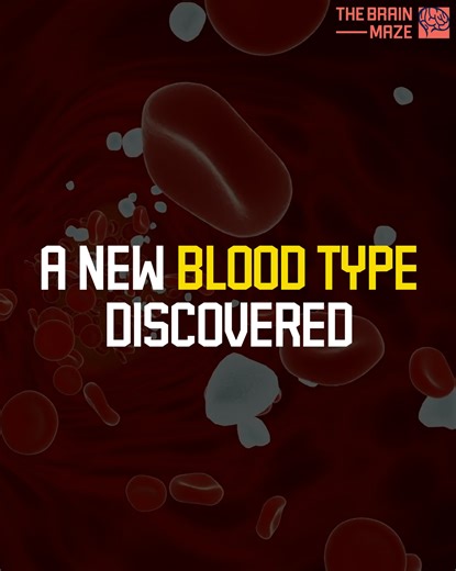 In 1972, doctors found a pregnant woman with a missing blood marker found in nearly everyone else. After decades of mystery, scientists from the UK and Israel have finally identified a new blood group system | The Brain Maze