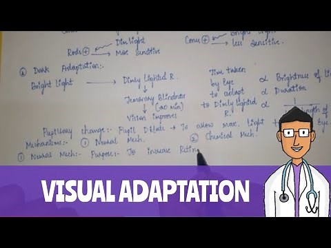 Visual Adaptation, Dark Adaptation and Light Adaptation