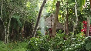 Goroka, is best known for its cool alpine climate, world famous coffee, the colourful Bilum Market and of course its friendly people. www.papuanewguinea.travel/easternhighlands Mark your 2015 calendars for the Goroka Show, 11-13 September: http://bit.ly/GorokaShow_PNG #papuanewguinea #travel #easternhighlands #goroka #festival #highlands | Visit Papua New Guinea