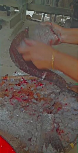 How to Properly Clean and Prepare Fish for Cooking