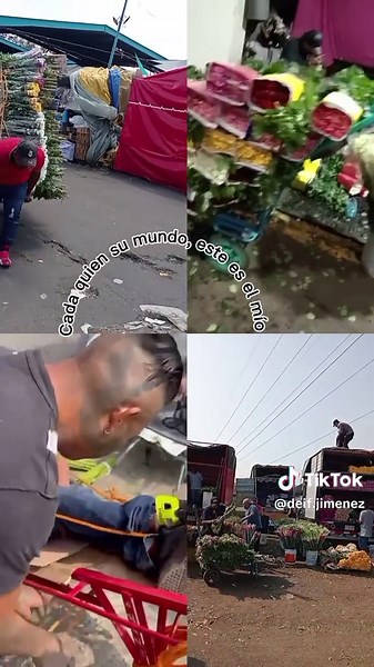 Videos de Deif Jimenez (@deif.jimenez) con “sonido original - Martinez.-”