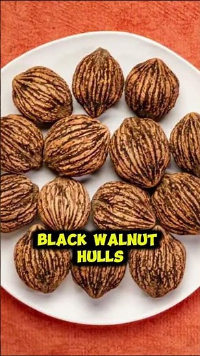Wormwood Black Walnut Clove Review: Best Natural Parasite Cleanse and Dewormer