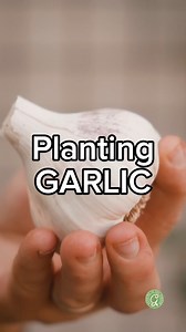 57K views · 633 reactions |  Comment “Guide” for my growing...