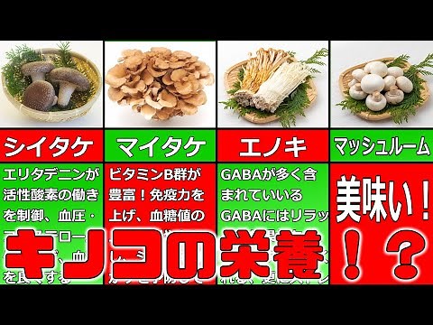 [Yukkuri Explanation] Which Mushroom Do You Want to Eat? A Laid-back Guide to the Nutritional Ben...