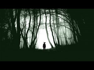 DON'T VISIT England's HAUNTED Cannock Chase Woods at Night!