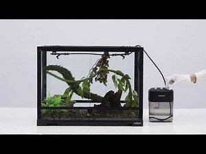 Reptile Terrarium Sprayer Humidifier With Timer and More Settings