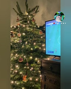 546K views · 35K reactions | Cats vs Christmas | G N I V R Y | Facebook