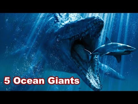 Ocean Giants! 🦕 5 Biggest Dinosaurs in the Sea | Fun Learning for Kids TPL