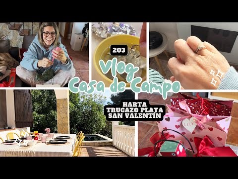 VLOG CASA CAMPO 203 *Harta, Trucazo Plata, San Valentín* VLOG SEMANAL BakeOrDie