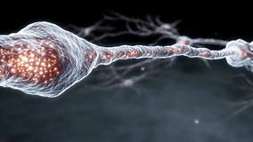 Visual Representation Showcasing Electrical Neuron Firing and Communication Pathways in Brain Stock Footage - Video of research, neurotransmitter: 417532262