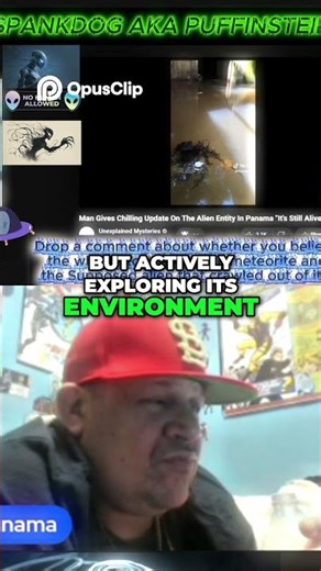 Alien Entity Caught on Video Is It Sentient You Won't Believe!