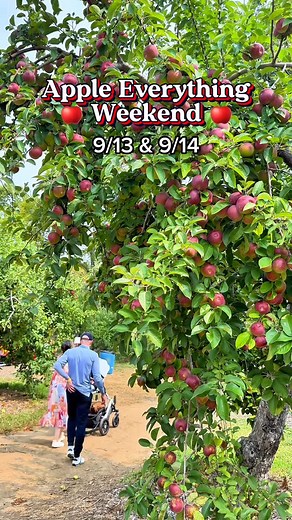 Harvest Moon Farm & Orchard on Instagram: "The theme for this weekends Fall Festival is “Apple Everything” at @harvestmoonorchard Enjoy your favorite Fall Festival activities — apple picking, pumpkin patch, hayrides, cider donuts, hard cider, live music, kids’ activities, the viral Cider Smash, and: 🍎 Apple Everything Weekend 🍎 9/13 & 9/14 Online $18 | Gate price $20 From crisp, juicy apple picking, to apple cider donuts, apple pies, apple strudel, & apple butter — it’s the ultimate apple love