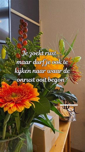 We willen allemaal meer rust en verbinding, ik net zo. Het is zoveel makkelijker om even te verdwijnen in een wandeling, een warme maaltijd, een serie, om dat korte moment van zachtheid te voelen. En eerlijk, dat soort rust voelt heerlijk. Maar het verdwijnt net zo snel als het komt. Ik ontdekte dat mijn echte onrust niet ging over de dingen van vandaag, maar over de imprints uit mijn eigen start. De patronen die ik al zo vroeg meekreeg dat ik ze niet eens herkende als patronen, maar als míj. Da