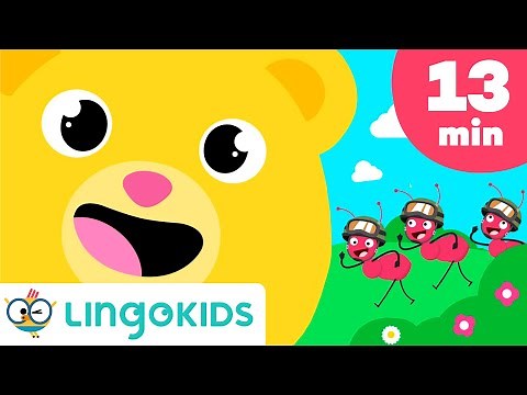 Learn English singing the Nursery Rhymes | Lingokids Collection