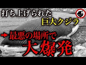 打ち上げられた鯨→徐々にクジラが膨張し、最悪の場所で大爆発するグロすぎる獣害事件「台湾抹香鯨テロ事件」