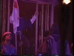 Jungle illusions by Frederic Clement