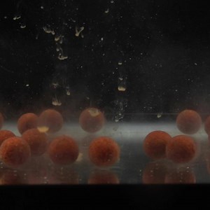 How to make a mega stinky bait glug 👃 | CARPology Magazine