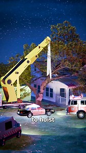 4.7M views · 60K reactions | Tree Pins Woman in Bed  | Zack D. Films | Facebook