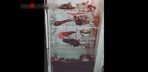 JEFFREY DAHMER: THE AMERICAN CANNIBAL - SERIAL KILLER