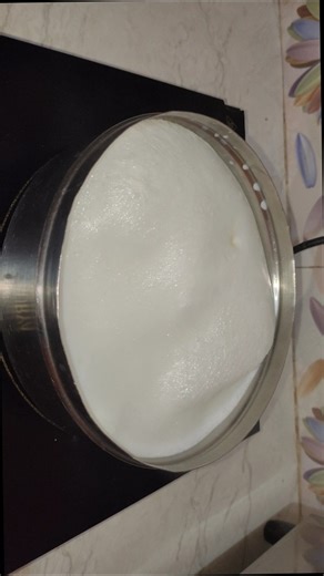 How to Make Thick Curd #shorts #youtubeshorts #shortvideo #viral #trending #curd #HowToMakeDahi