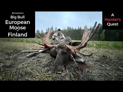 Sustainable Hunting Creating Value for Farmers - Moose Hunting in Finland