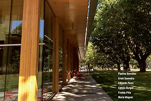 Cross-laminated timber: the best option for buildings