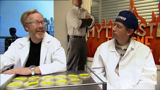 Mythbusters | Dirtier Than A Toilet Seat