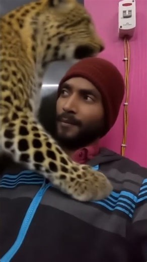 tutorial Leopard leap filter 🤩💀 #leopard #leap #filter #moneylove #funny #trending