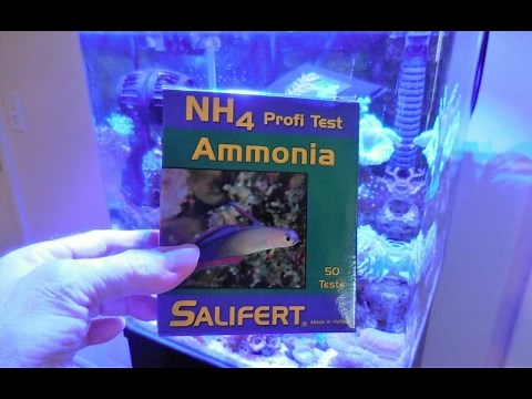 Salifert Ammonia(NH4) Testing