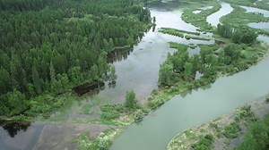We are kicking off American Wetlands Month by sharing this incredible drone footage captured by River Design Group (RDG) that showcases the massive improvements already seen on the Swan River National Wildlife Refuge (SRNWR). This is the largest wetland restoration project in Montana's history to date. In 2022, SVC partnered with the U.S. Fish & Wildlife Service and River Design Group (RDG) of Whitefish to complete the wetland restoration project on the SRNWR. Based on RDG’s assessment, 15.7 mil