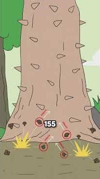 The Tree That Explodes Like a Bomb💣🌳