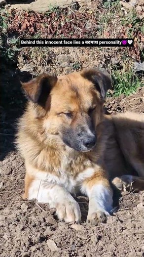 most cunning person in our family😀🤍