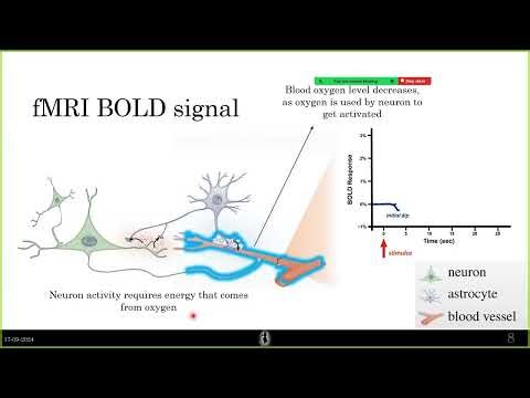 What exactly is the fMRI signal? | BOLD signal | Resting State fMRI