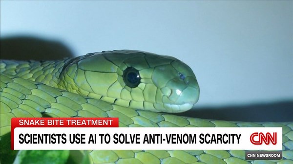 AI used to create anti-venom for deadly snake bites