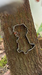 319K views · 1.7K reactions | Easy grafting techniques Cowa tree chip budding. #fruits #plants #breeding #satisfying #trees | Cha Garden | Facebook