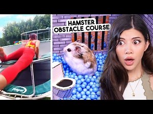 try to crawl your way out of this one