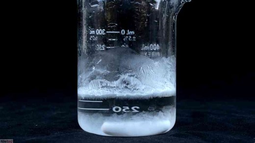 Making trimethylamine - the stench of rotting fish