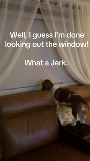 #Ruby #fyp #sillylittlebasset #noseyrosie #we♥️ruby