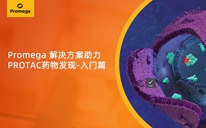Promega 解决方案助力PROTAC药物发现-入门篇