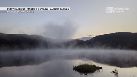 A surreal misty morning in Petty Harbour-Maddox Cove