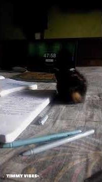 📌 SESSION 01: The Journey Begins! 🚀