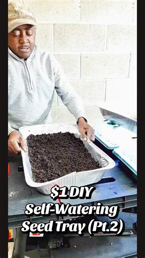 DIY Self-Watering Seed Tray for Pennies — Part 2