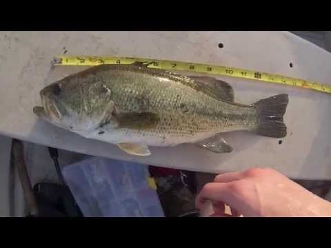 Buzz Plug Lure Fishing