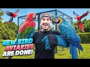 After YEARS... My Macaws Finally Move Into Their New Avairies!!!