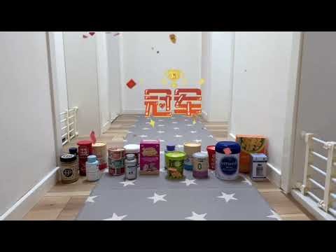 Puppy Obstacle Challenge! Watch Adorable Fails & Wins 🐶 #DogAgility #CutePets