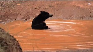 10K views · 242 reactions | Guide Palinda shares fascinating insights...