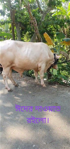 ঈদের দাওয়াত